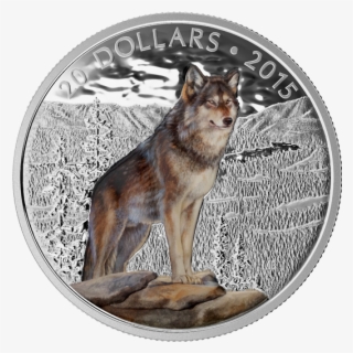 Fine Silver Coloured Coin - Monnaie Royale Canadienne Loup