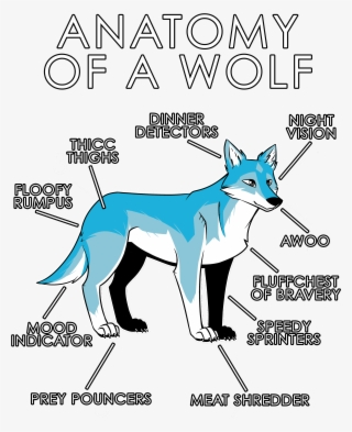 Anatomy Of A Wolf - Anatomy Of A Furry