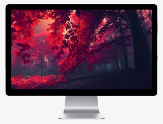 Score 50% - High Resolution Colorful Backgrounds