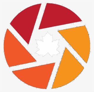 Red Maple Logo - Photography