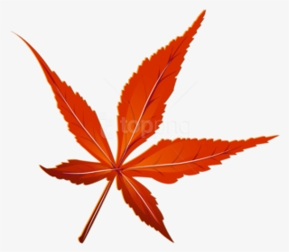 Free Png Download Transparent Red Leaf Picture Clipart - Red Leaf Transparent