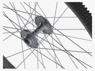 Bicycle Wheel - Bicycle Tire