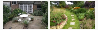 Yorkshire Garden Designer - Rosa Wichuraiana