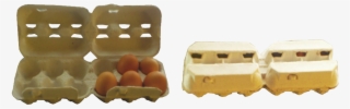 2 X 6 Egg Boxes <br/> Carries