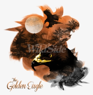 Birds Of Prey Golden Eagle - Myna