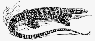 Komodo Dragon Clipart Black And White - Largarto Preto E Branco