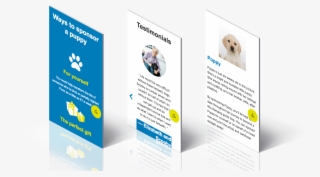 We Have Worked With Mso For Over 4 Years On A Variety - Flyer