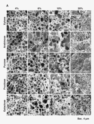 Continued On The Next Page - City Map Rpg Black And White