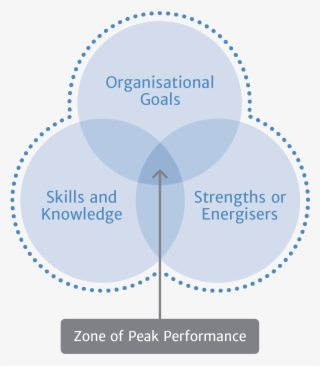 We Believe It Is At The Point At Which Skills And Knowledge - Tell A Male From A Female Kitten