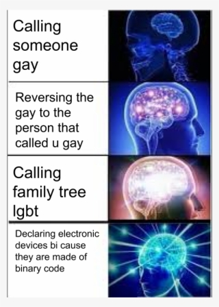Memelol Your All Gay No Homo - Roll Safe Meme Dota