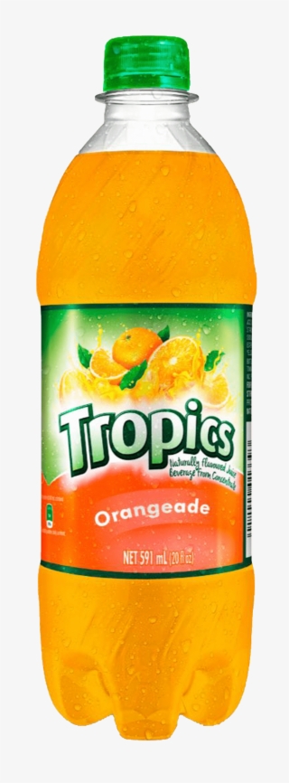 Celebration Brands Limited Is A Joint Venture Between - Juicebox