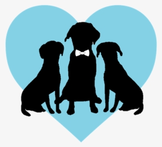 No Words - Dog Licks