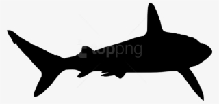 Free Png Shark Silhouette Png Images Transparent - Shark Silhouette Png