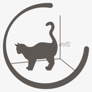 Urine Spraying - Black Cat