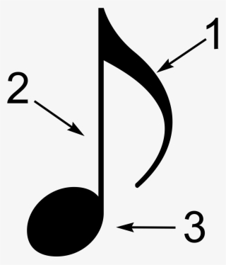 Parts Of A Music Note - Parts Of A Note