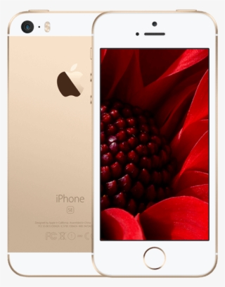 Iphone® Se 16gb - Rose Gold Iphone Se Back