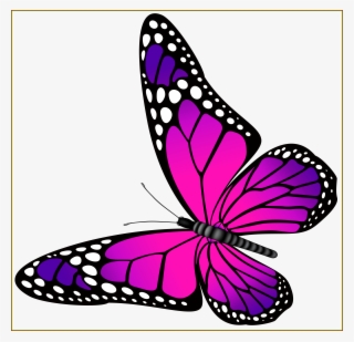 Amazing Orange Butterfly Png Clip Art Image Ⓒ