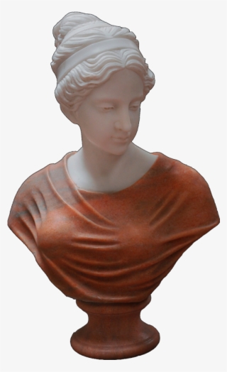 Busts - Bust
