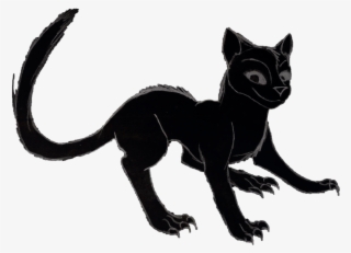 Reportar Abuso - Silver Fox