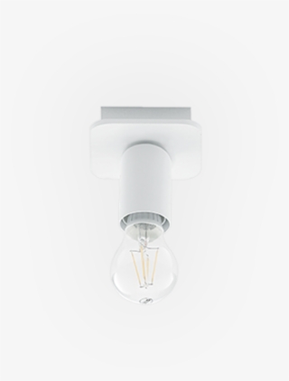 Compact Fluorescent Lamp