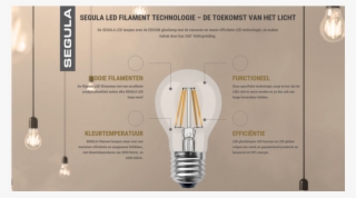 Segula Gold Led Curved Filament - Compact Fluorescent Lamp