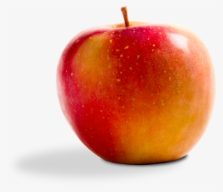 Colombia Janamejoy - Mcintosh