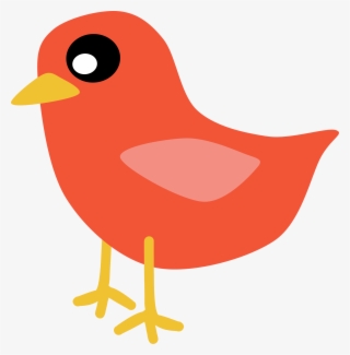Robin Clipart Red Robin - Orange Bird Clipart