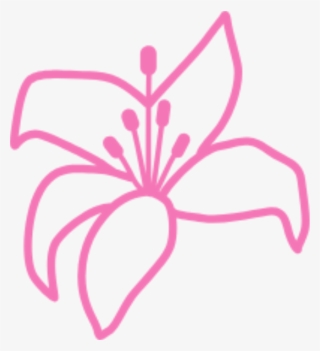 Pinterest Facebook Twitter Instagram Youtube