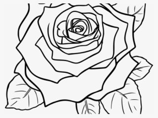Black And White Rose Clipart - Black And White Rose Png