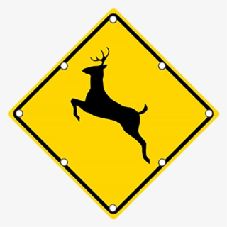 Ts40 Flashing Deer Crossing Sign Day - Deer Sign