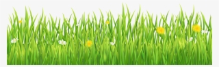 Grass Png