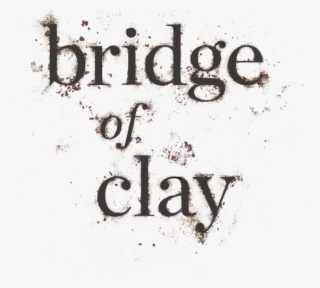 The Much Anticipated New Novel From Markus Zusak, The - Calligraphy