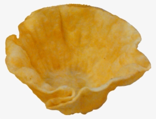 Beans & Rice San Marcos Black Refried Beans San Marcos - Tremellaceae