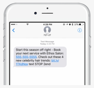 Receiving A Text Message On An Iphone 6s With A Link - Loyalty Program Sms