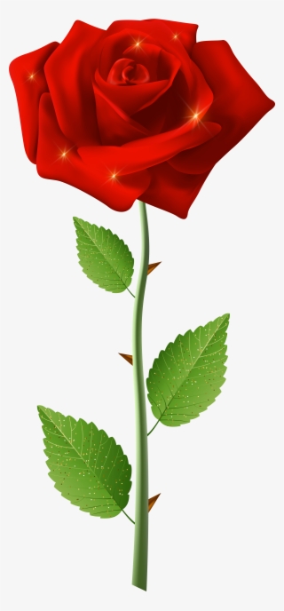 Red Rose With Steam Transparent Image - Hoa Hồng Đỏ Png