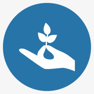 We Conceptualize, Research, And Launch Our Own Companies - Icon Management Blue