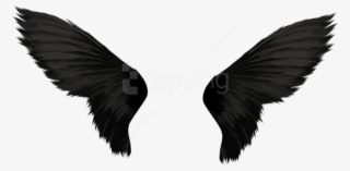 Free Png Download Black Wings Png Images Background - Transparent Background Wings Png
