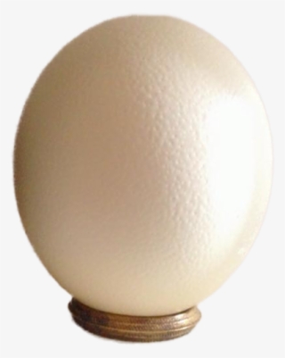 599 X 600 7 - Egg