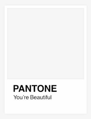 Pantone Sticker - Graphics