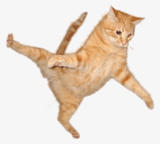 Free Png Cat Jump Png Png Images Transparent - Cats Transparent Background