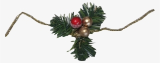 20170331 073038 - Christmas Tree