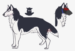 Dog Catches Something