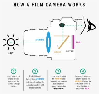 A Mirror Within The Camera Body That Is Diagonally - Diagram
