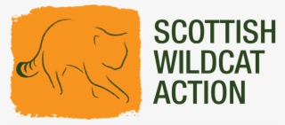 Does The Scottish Wildcat Live