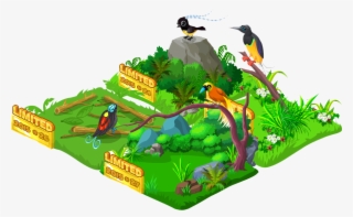 Birds Of Paradise Photo - Illustration