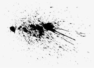 1024 X 751 1 - Monochrome