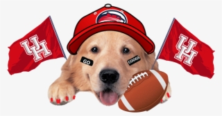 Coog - Coldwell Banker Dog