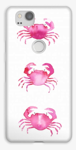 Grab A Crab Case Pixel - Freshwater Crab