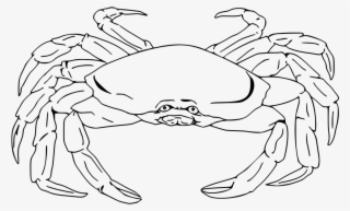 Semi-realistic Crab - Crab Png Black And White