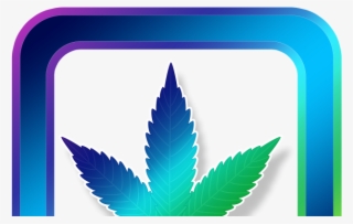 What Is A Medical Marijuana Card - Canna